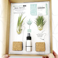 Thumbnail for Kit de cultivo air plant box