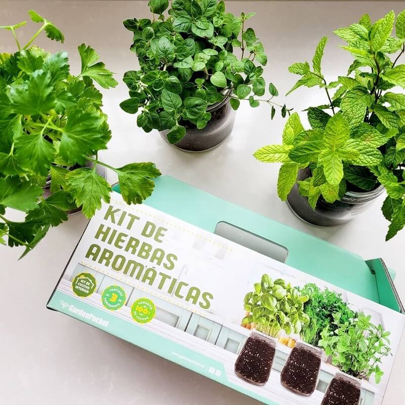 Kit de cultivo de hierbas aromáticas
