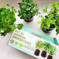 Thumbnail for Kit de cultivo de hierbas aromáticas