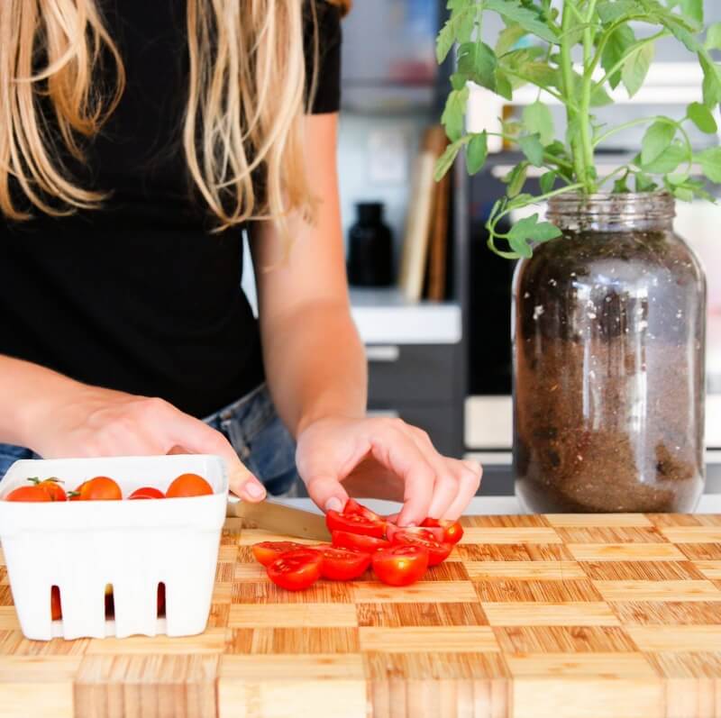 Kit de cultivo interior con auto riego de tomates cherry cocina